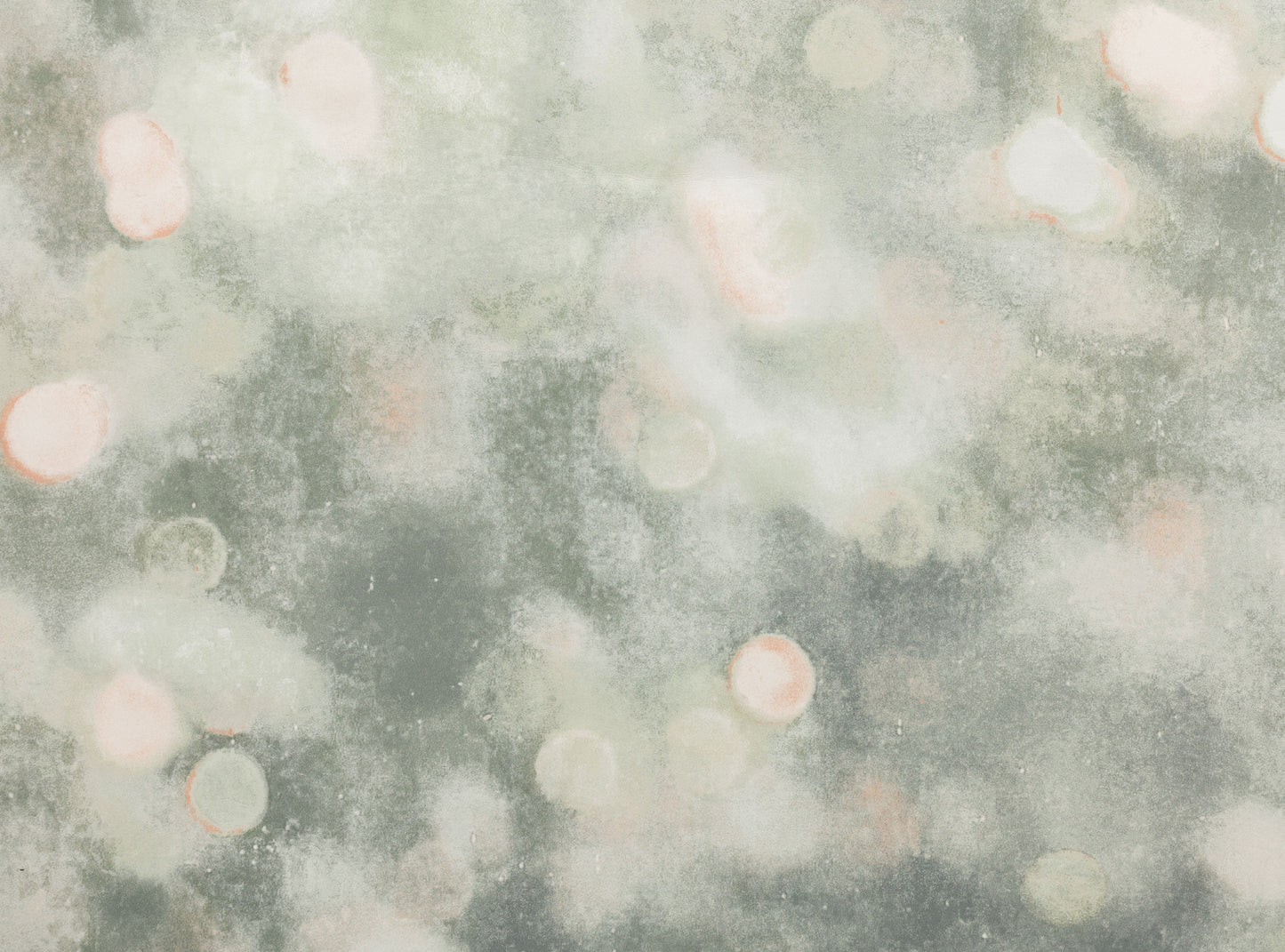 Bokeh Tuscan