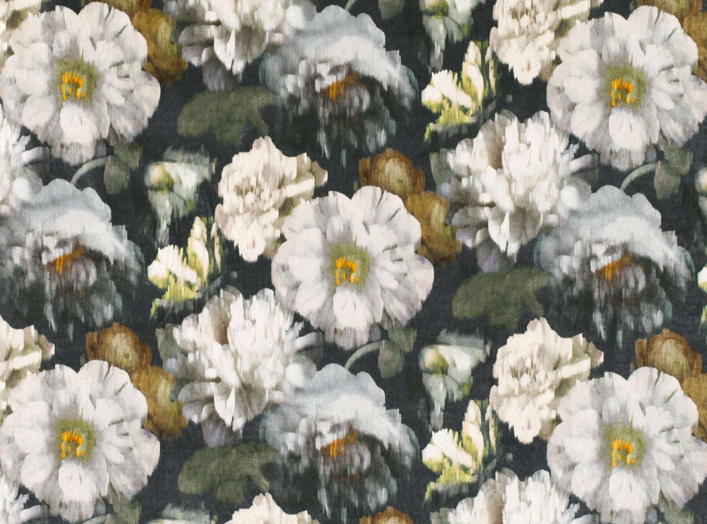 Herbaria Obsidian