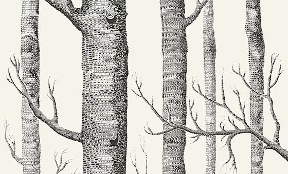 Woods Black on White
