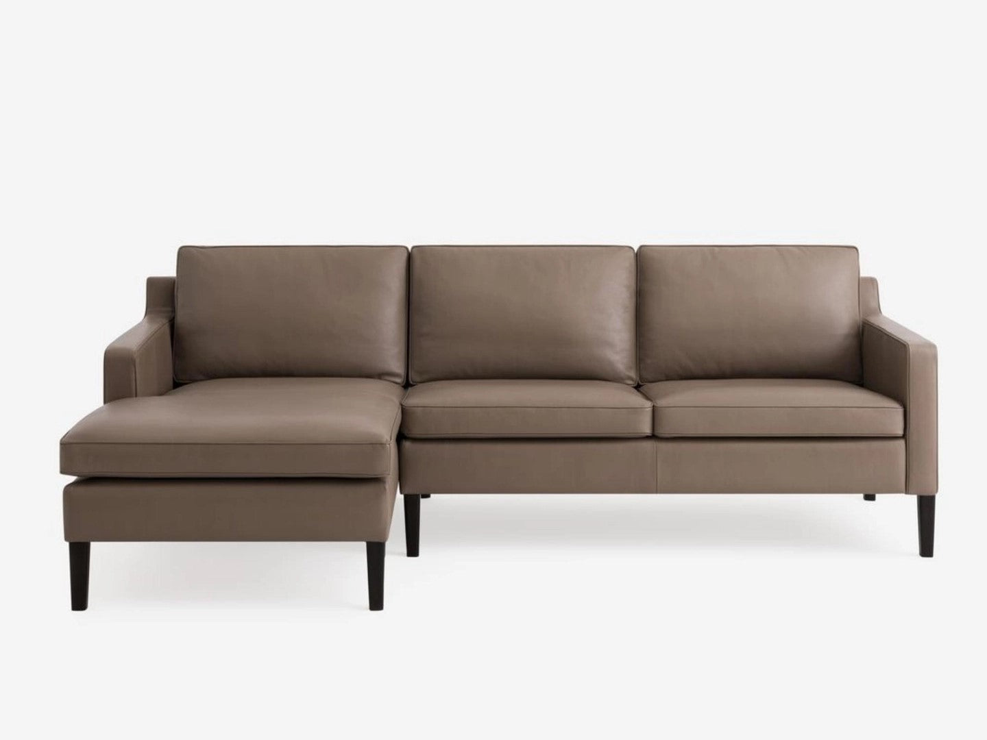 Skye 2-Piece Sectional Sofa With Chaise leather