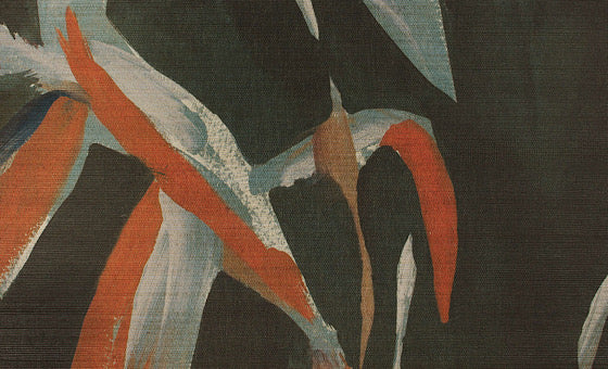 Makona Kaitoke