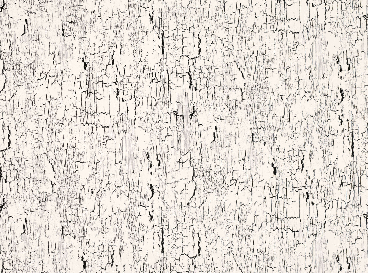 Antica Whitewash
