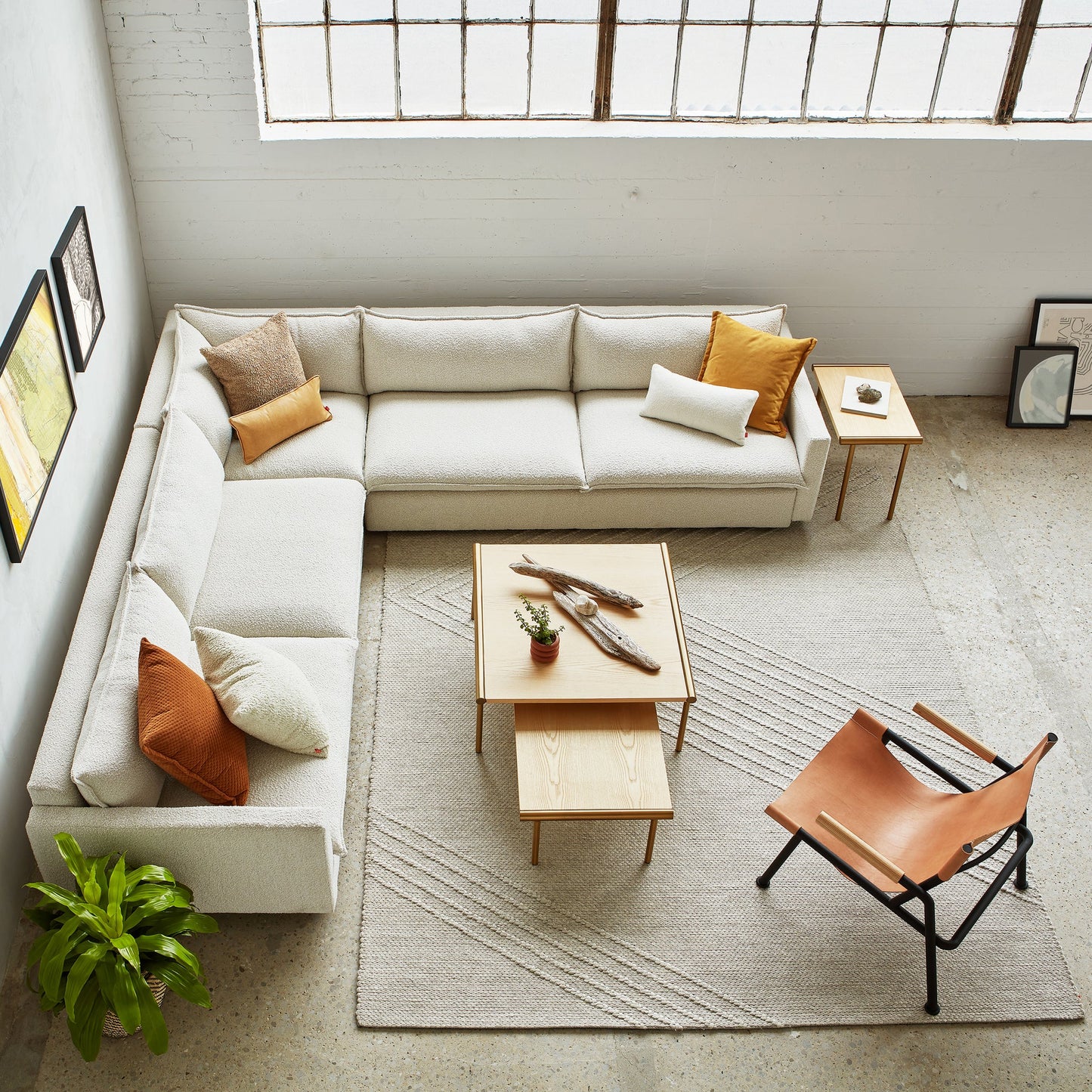 Sola Bi-sectional
