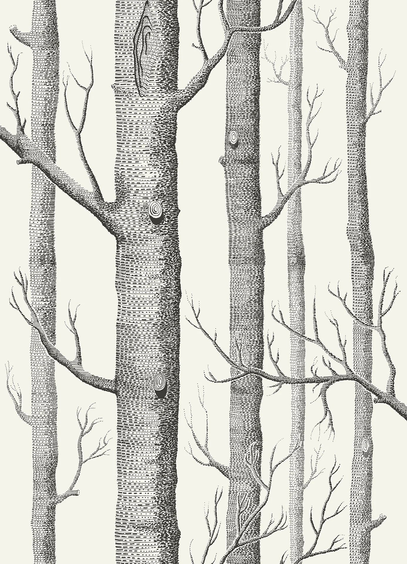 Woods Black on White