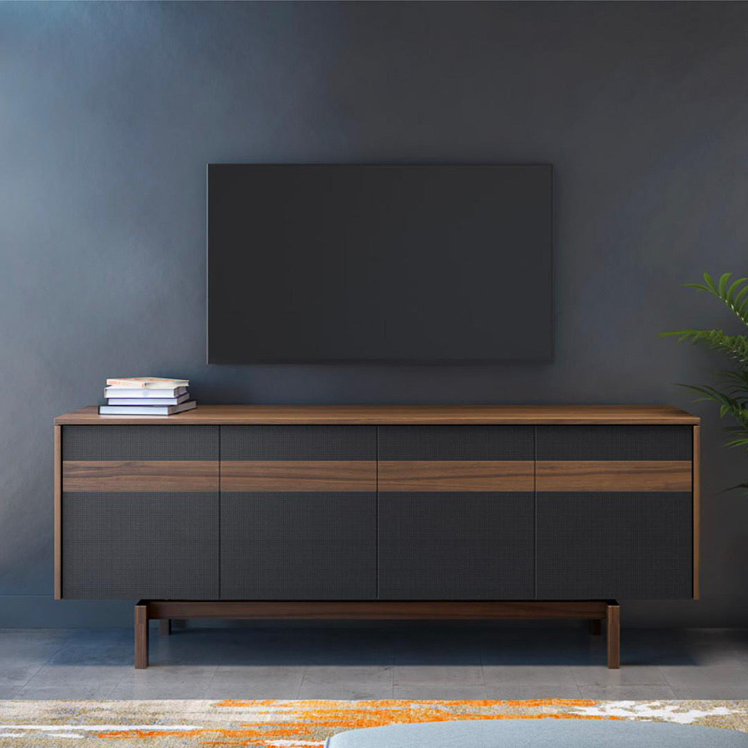 Banjo Media Unit