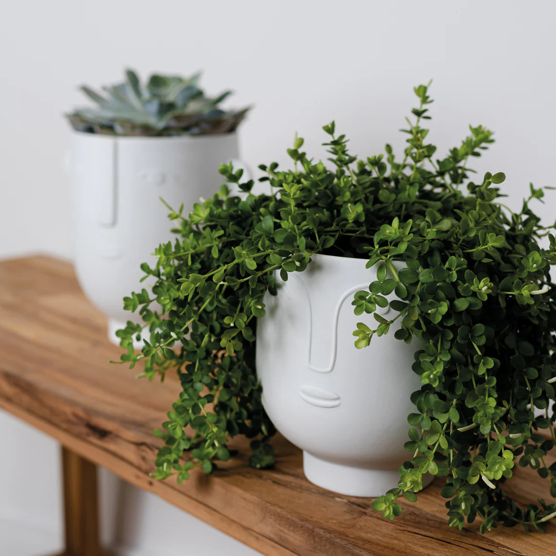 Natural Forms Floris
