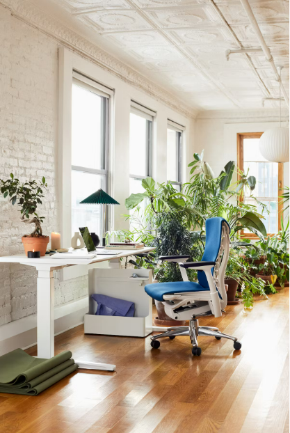 Renew Sit-To-Stand Desk