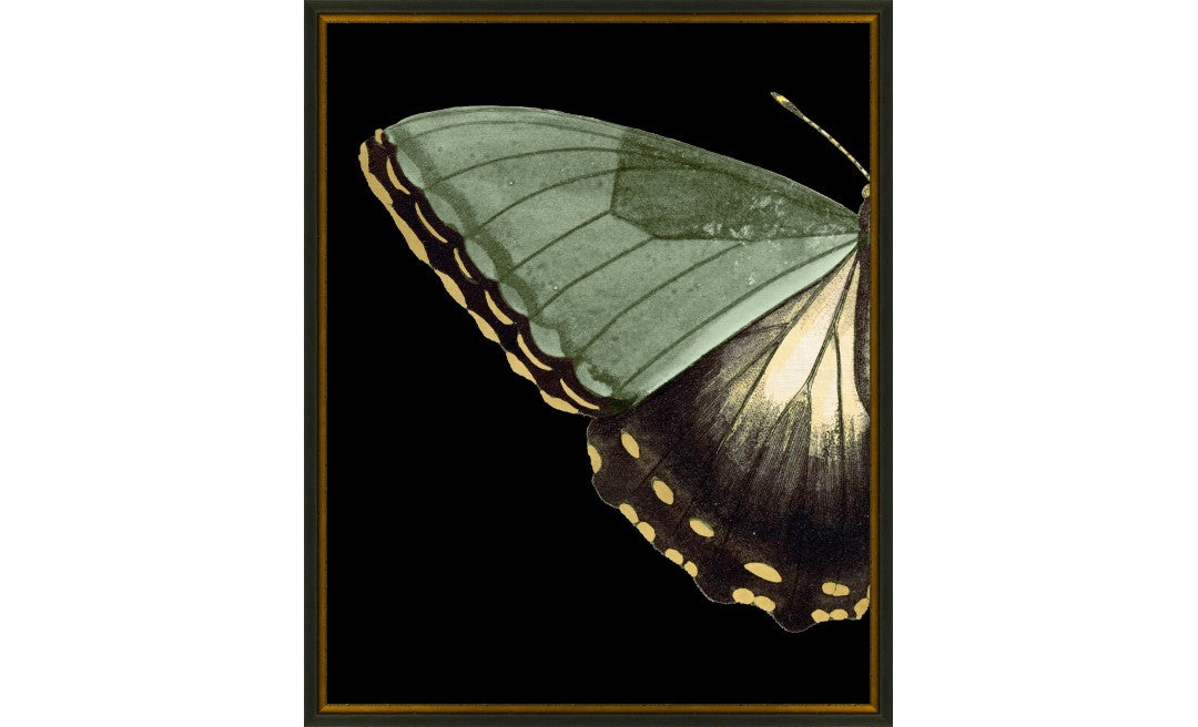 Gilded Wing 3