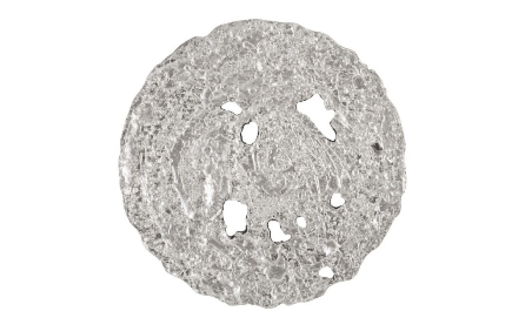 Molten Wall Disc Small