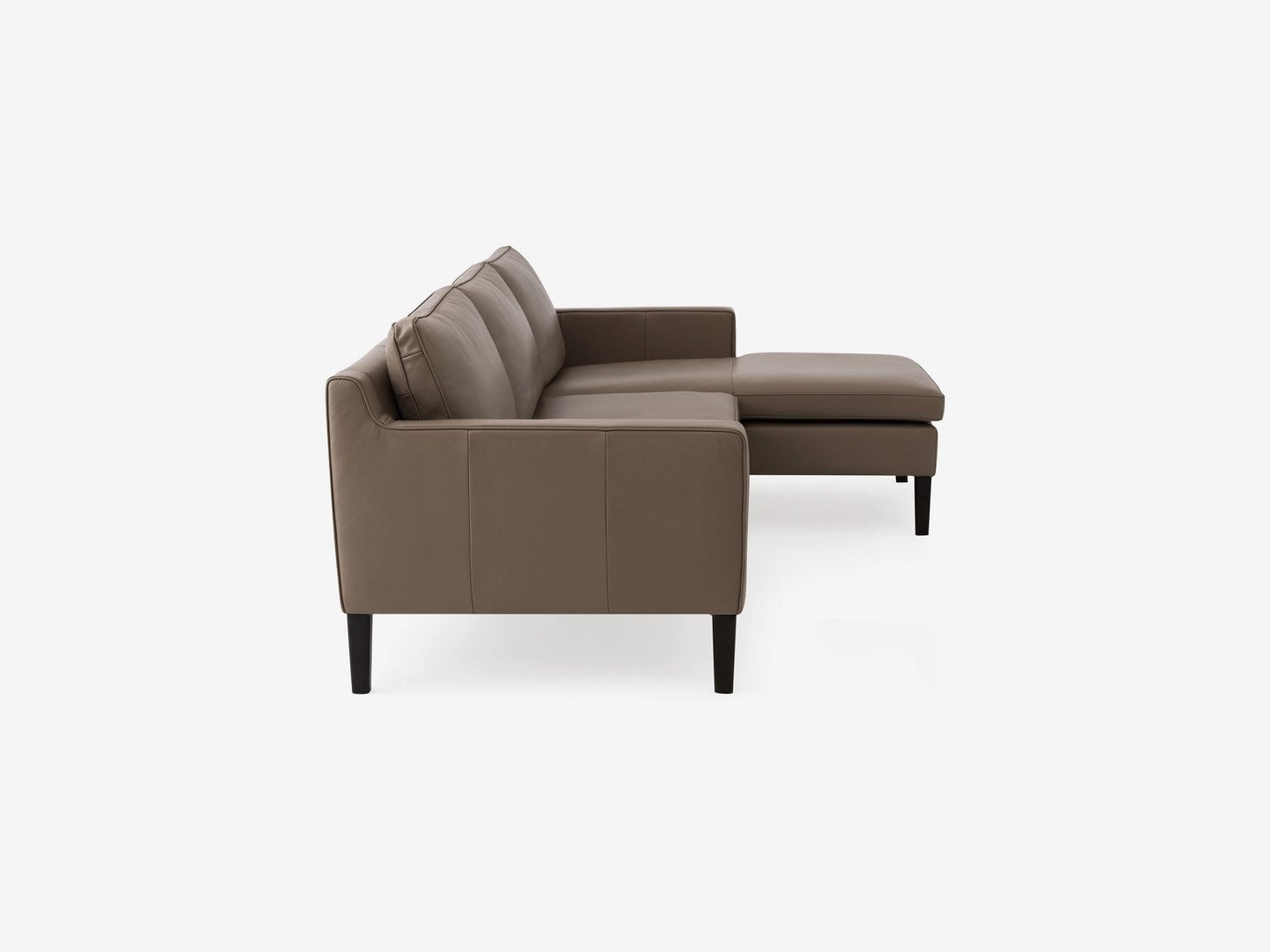 Skye 2-Piece Sectional Sofa With Chaise leather