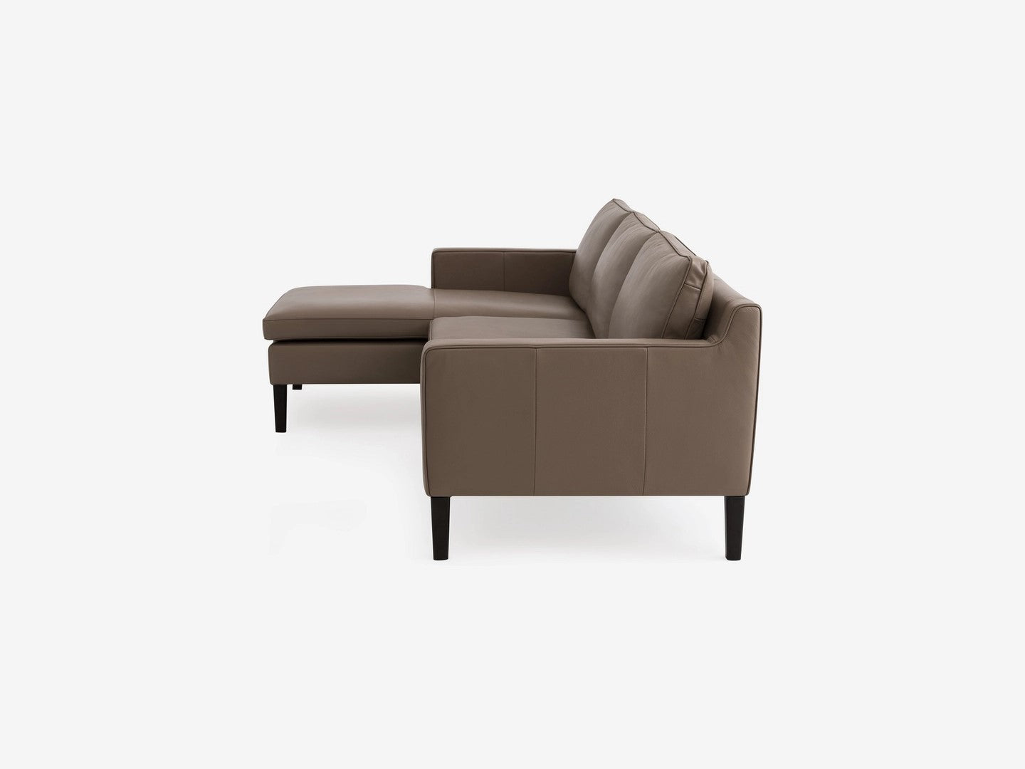 Skye 2-Piece Sectional Sofa With Chaise leather