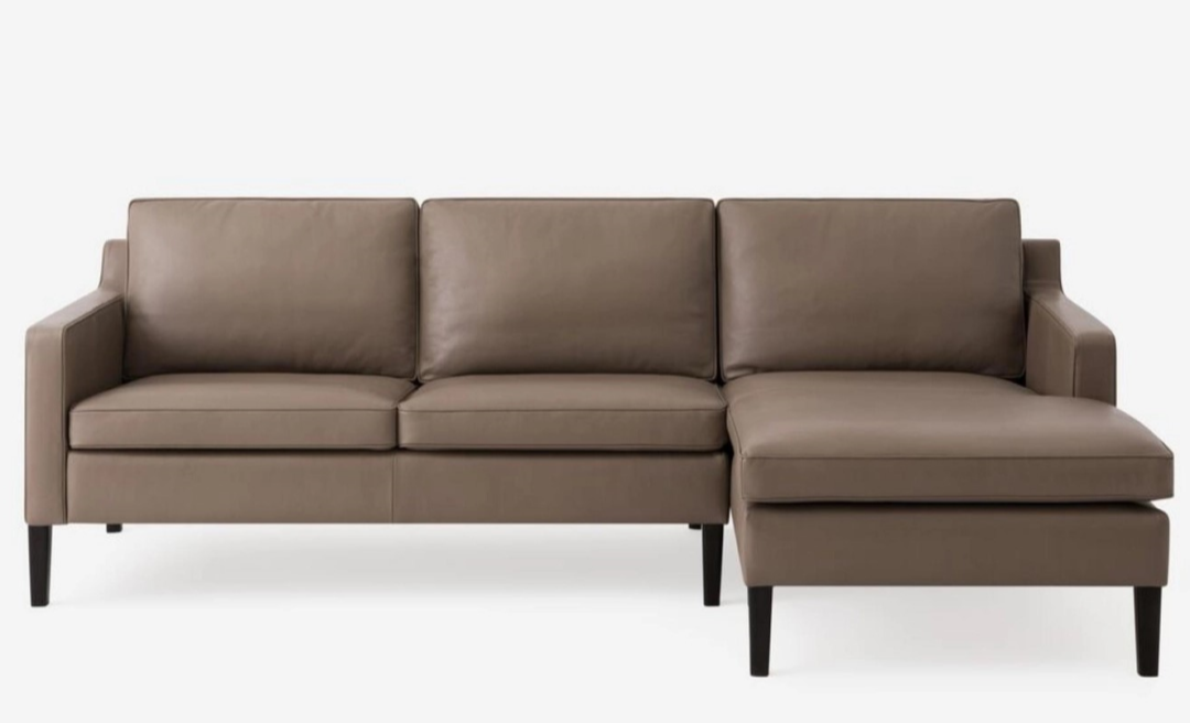 Skye 2-Piece Sectional Sofa With Chaise leather