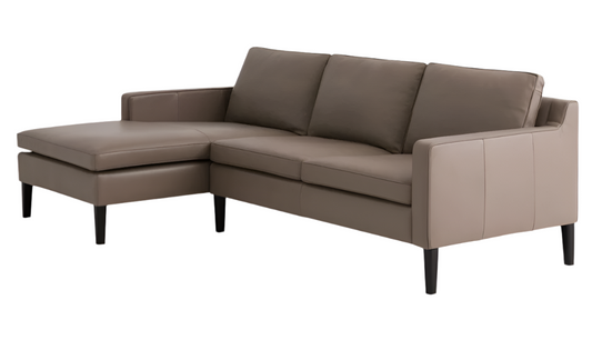 Skye 2-Piece Sectional Sofa With Chaise leather