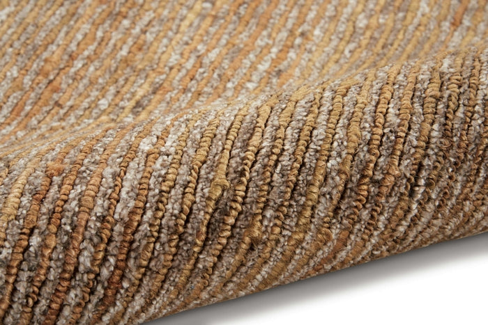 Mesa Fossil
