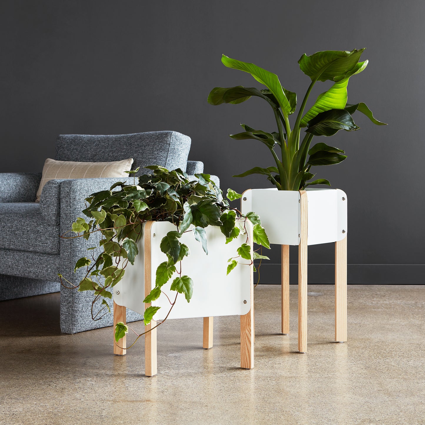 Atrium Planters