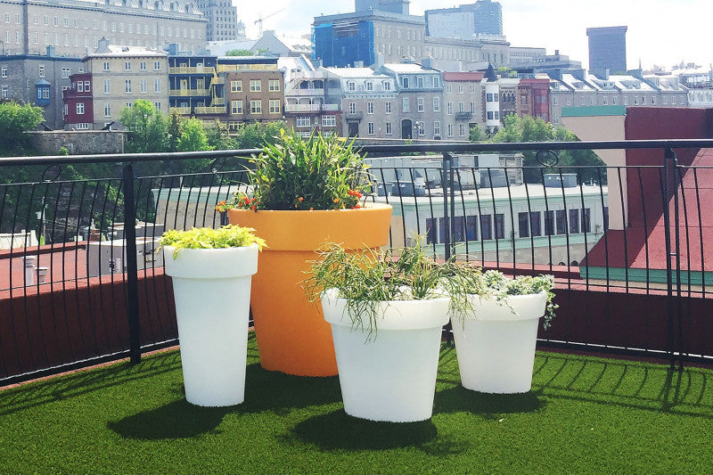 Tera planter medium
