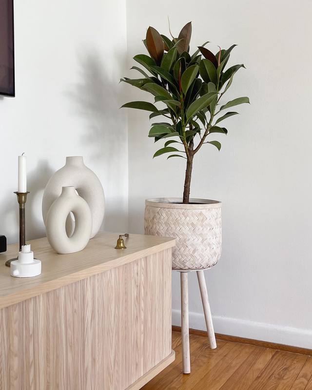 Tambour 62" Credenza