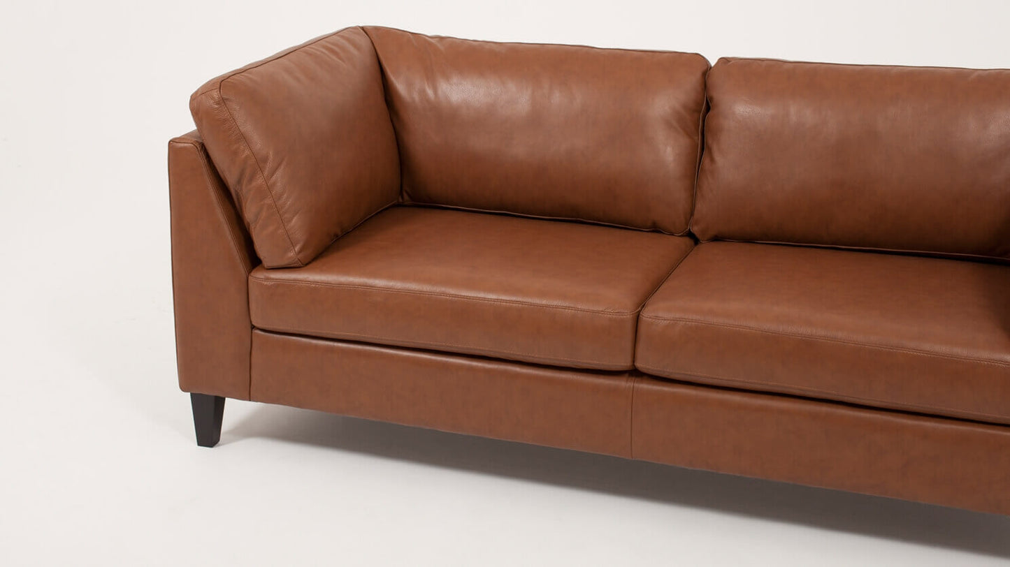 Salema 78" apartment sofa leather