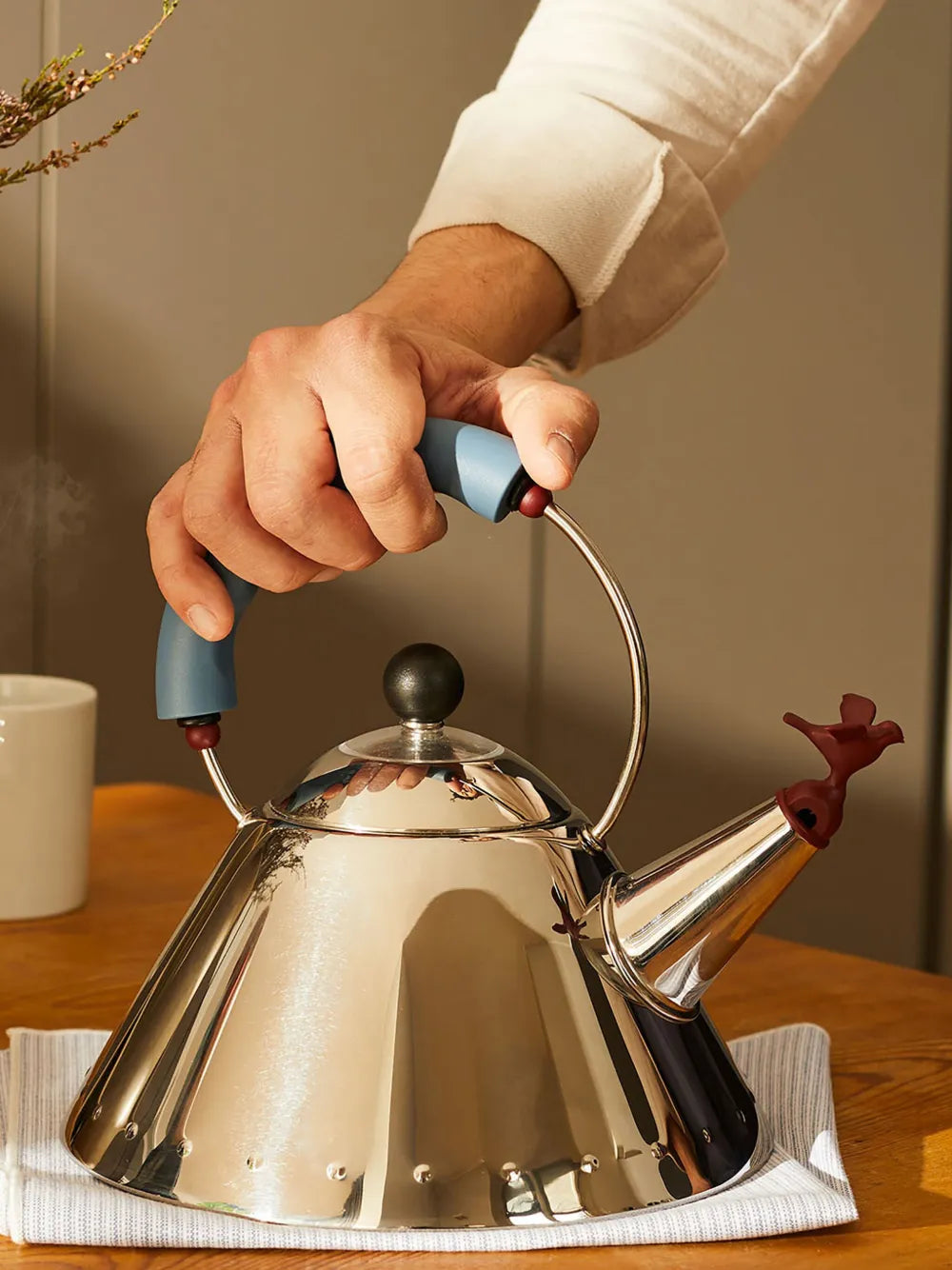 Bird Whistle Kettle