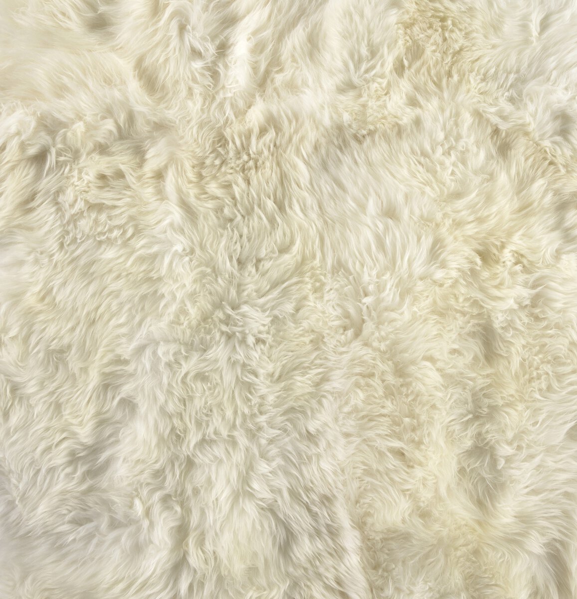Lalo Lambskin Rug