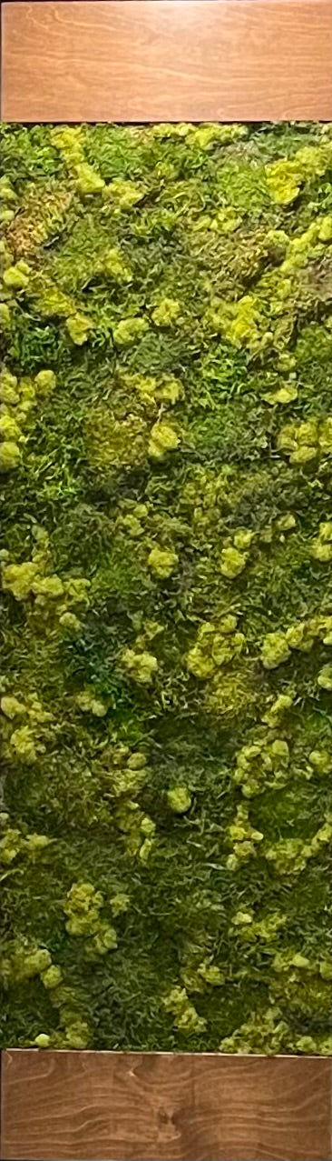 Modern Organic Ensuite