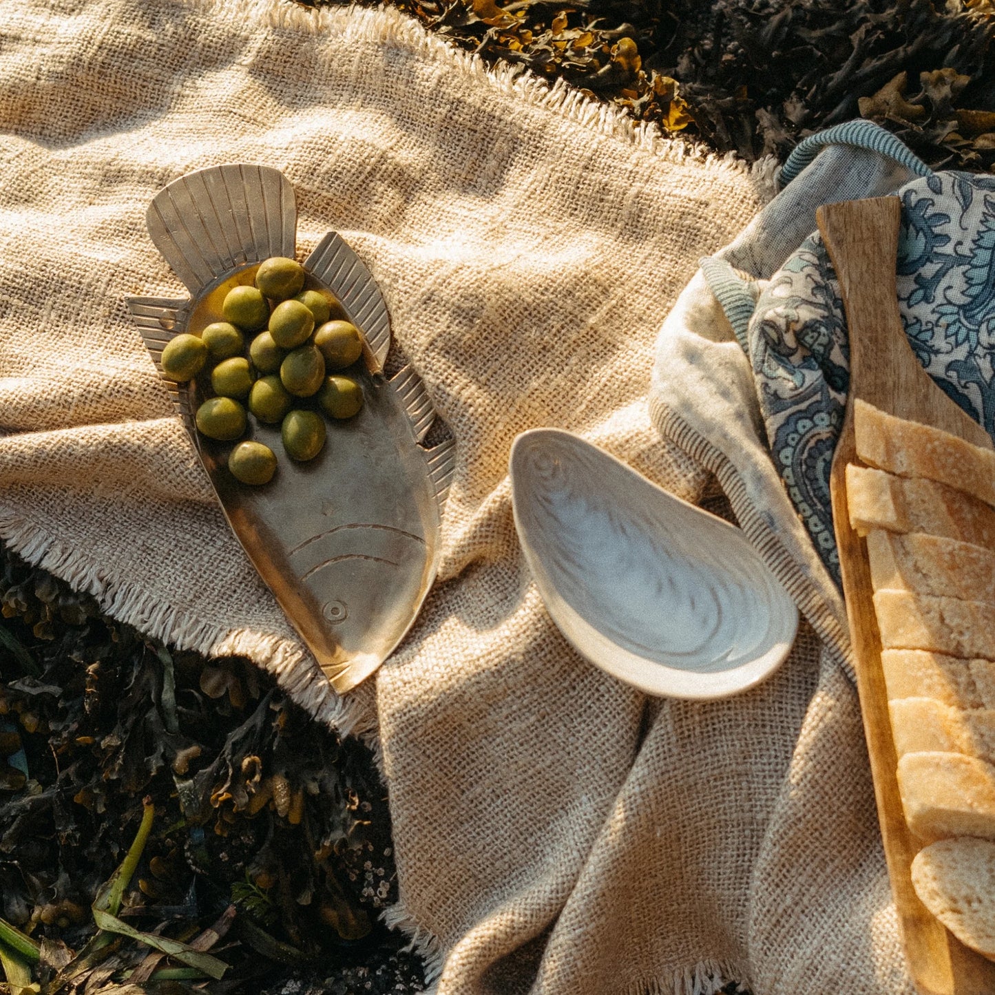 Clam Shell
