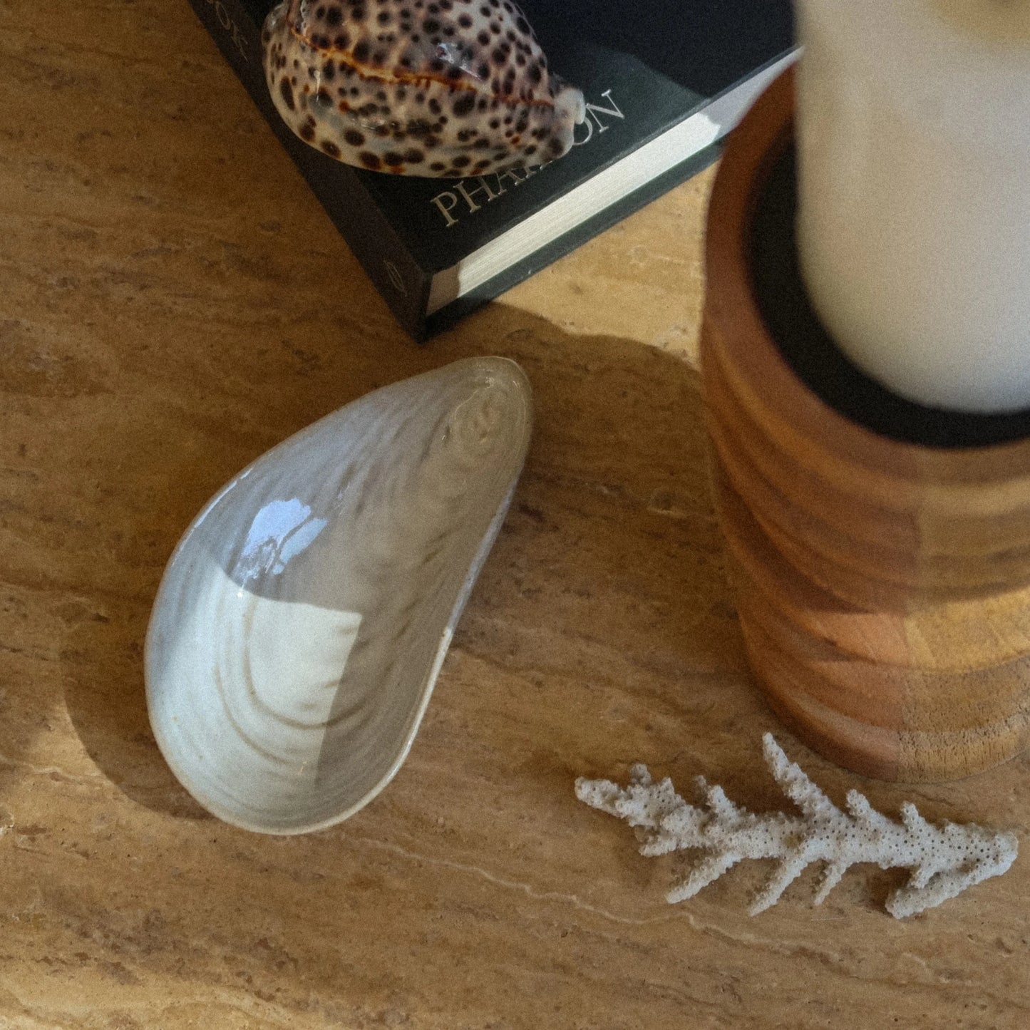 Clam Shell