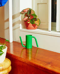 Tango Watering Can