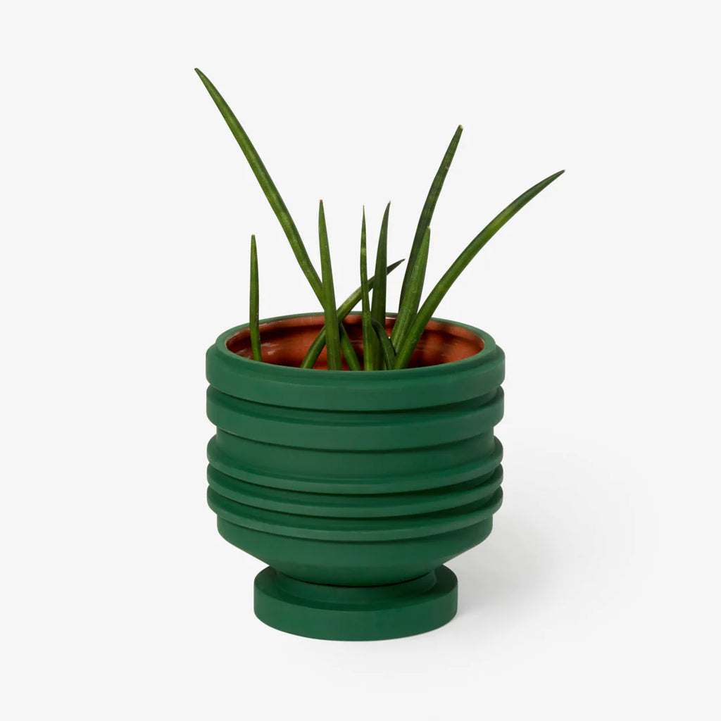 Strata Plant Vessel