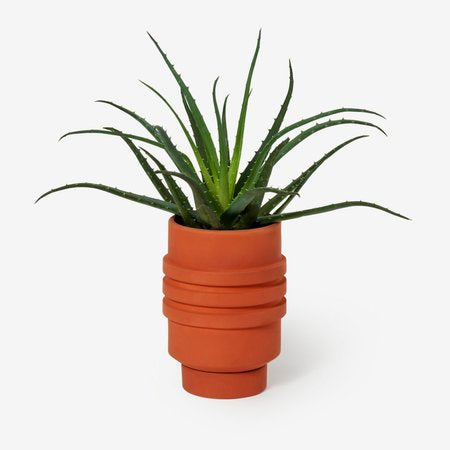 Strata Plant Vessel