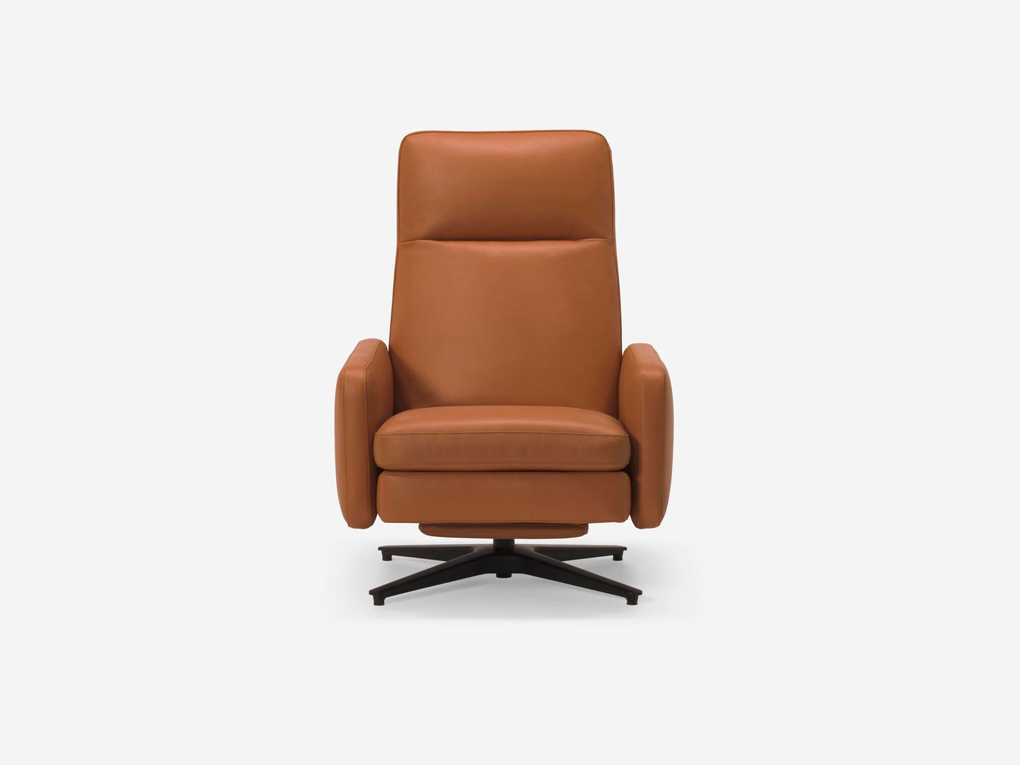 Lean Reclining Chair Leather