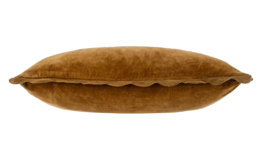 Velvet Scallop