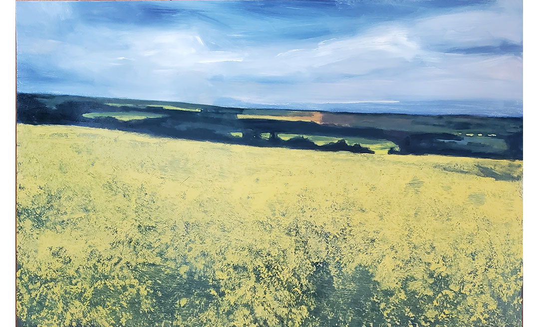 Yellow Field - Shubenacadie