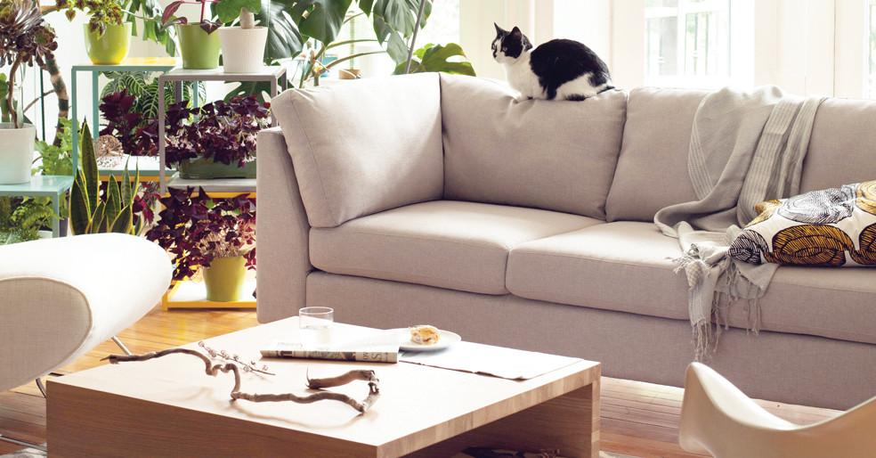 Salema 78" apartment sofa fabric